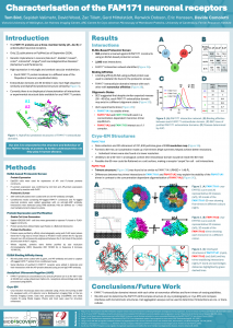 Poster of characterisation of the FAM171 neuronal receptors