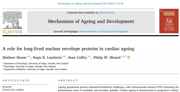 25 Shuen publication